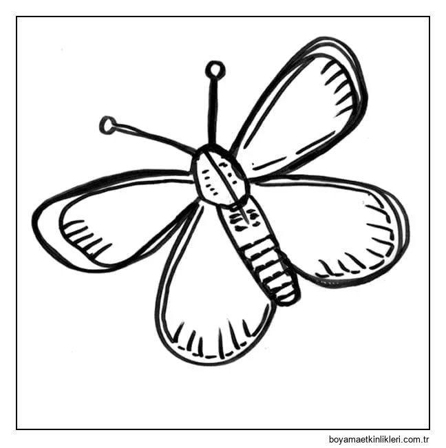 Kelebek çizimi