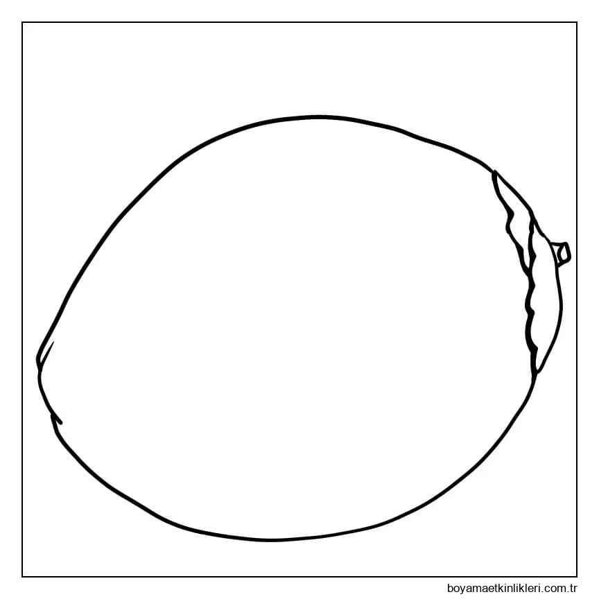 Mükemmel Hindistan Cevizi