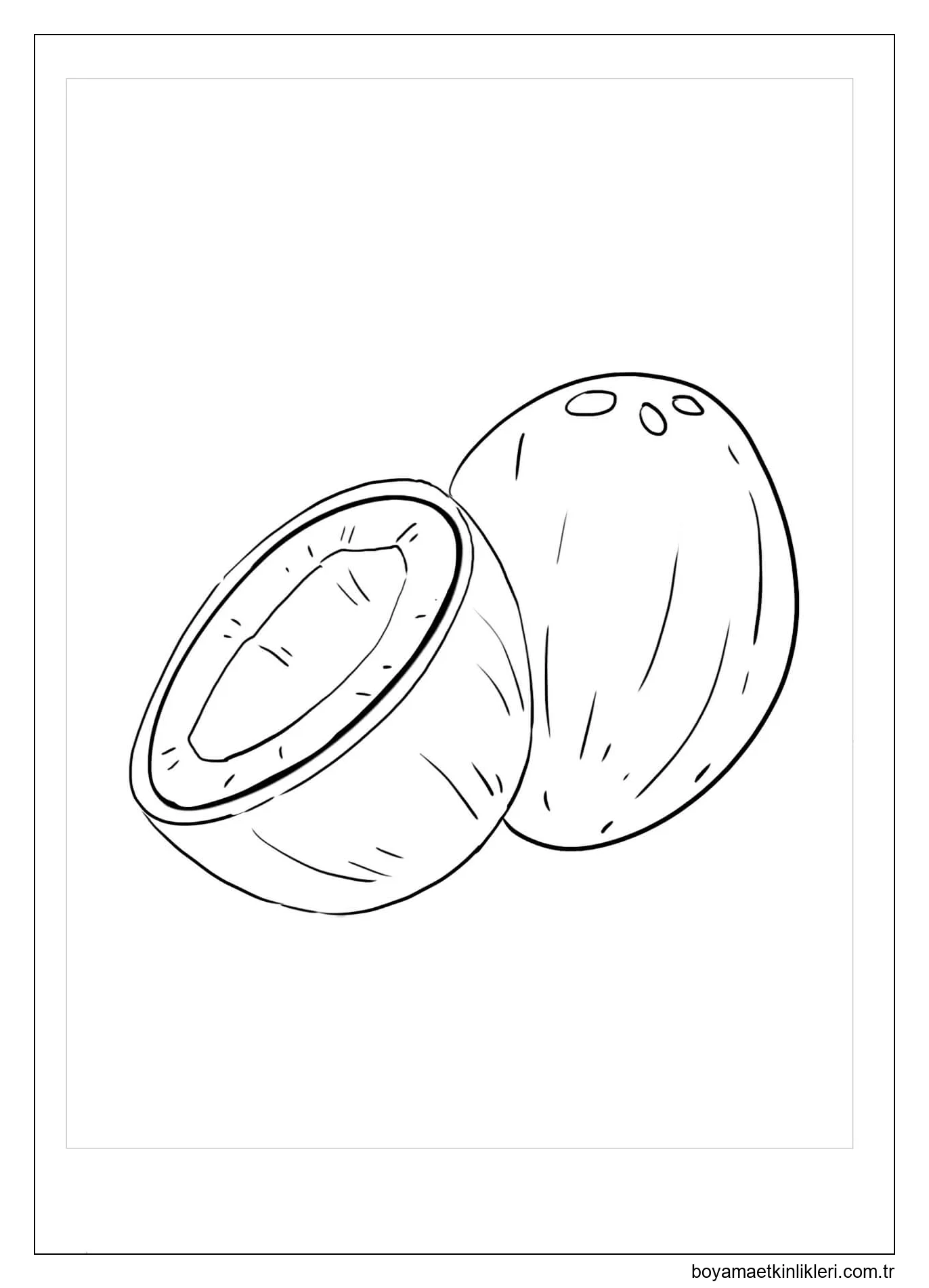 Normal Hindistan Cevizi