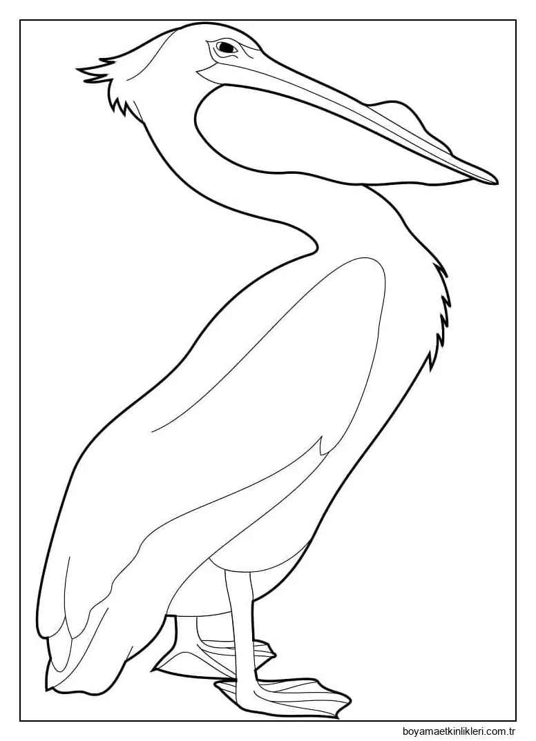 Pelikan çocuklara ücretsiz