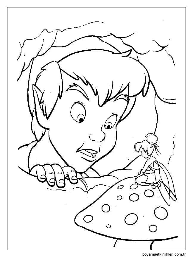 Peter Pan ve Tinker Bell