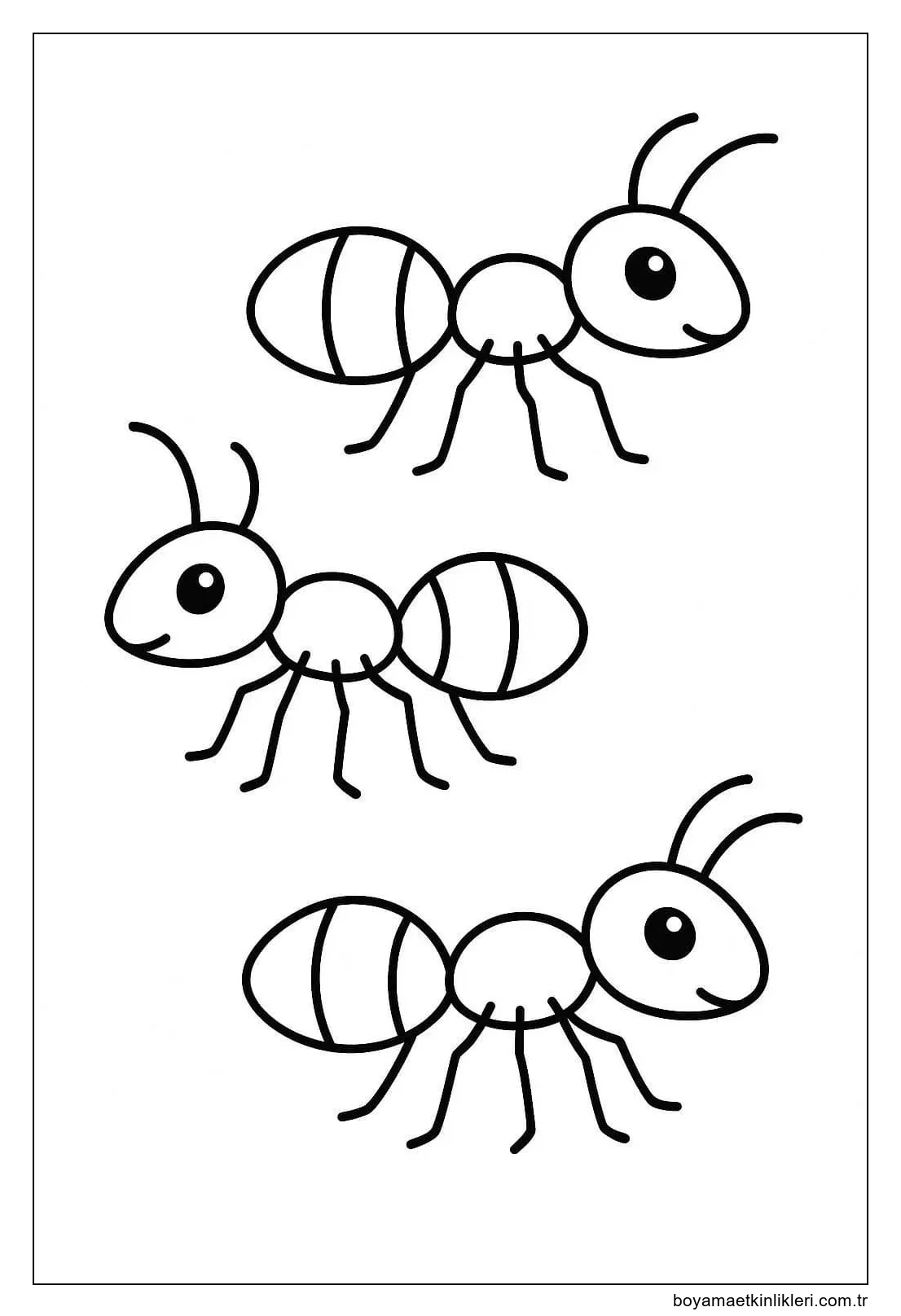 Ücretsiz Karınca Çizim