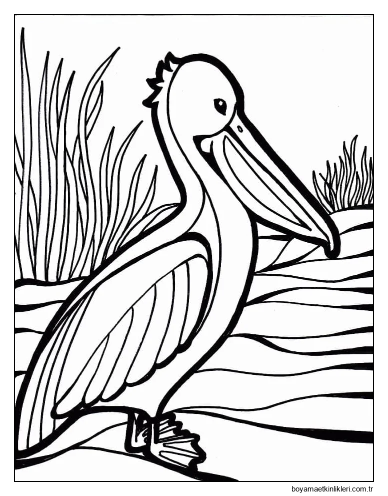 Ücretsiz yazdırılabilir Pelikan