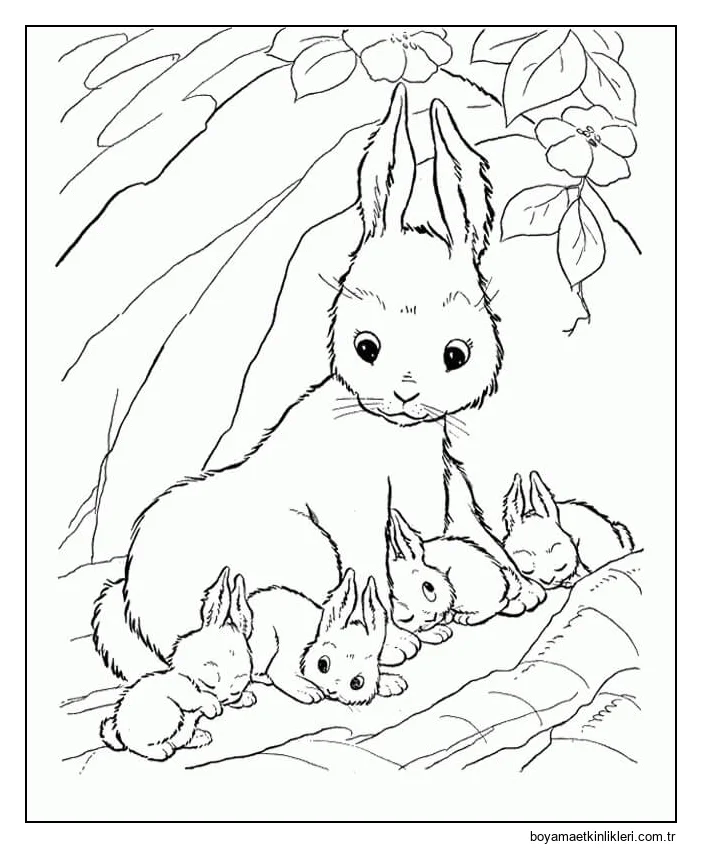 Anne Tavşanı ve dört Bebek Tavşan Uyku