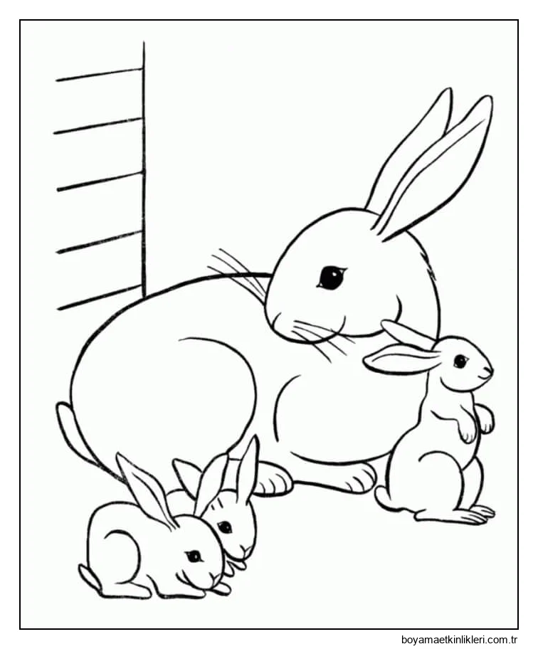 Anne Tavşanı ve üç Bebek Tavşan