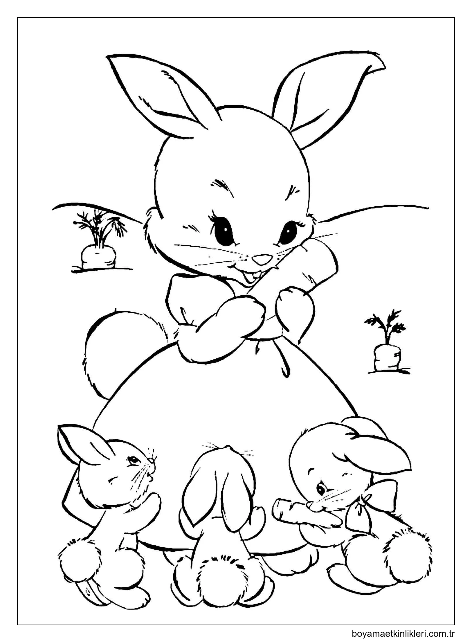 Anne Tavşanı ve üç Bebek Tavşanı Havuç Ile