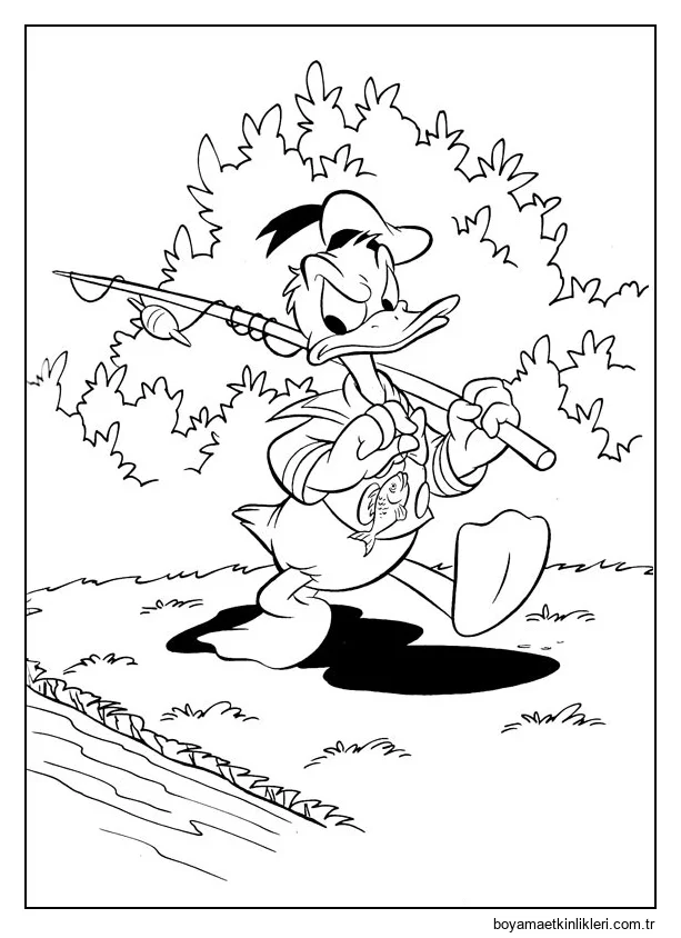 Donald Balığa Gidiyor