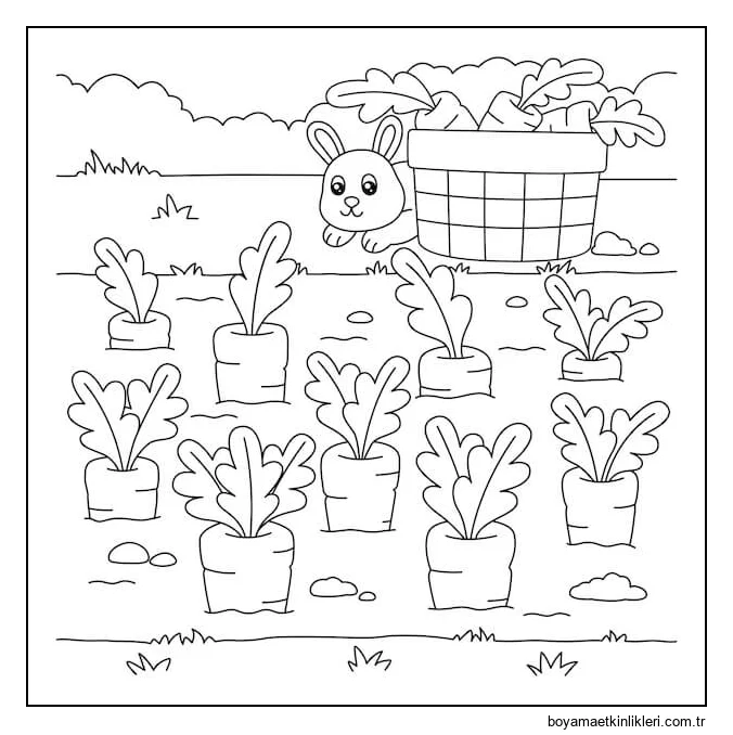 Havuç Bahçeli Tavşan