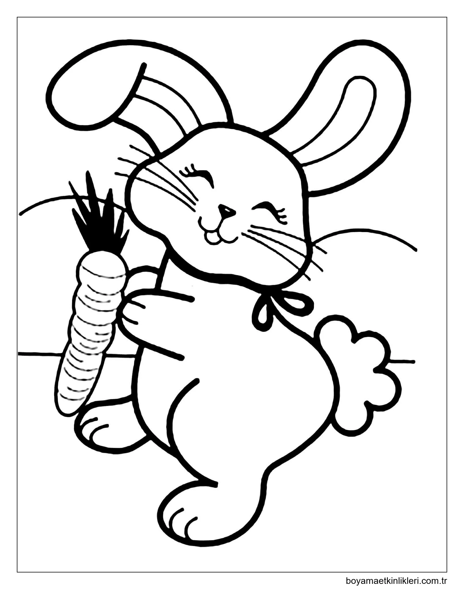 Havuç Tutan mutlu Tavşanlar