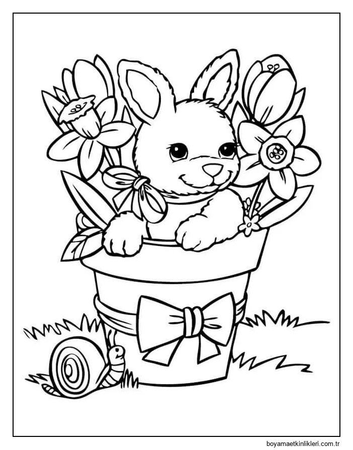 Saksılarda Tavşan