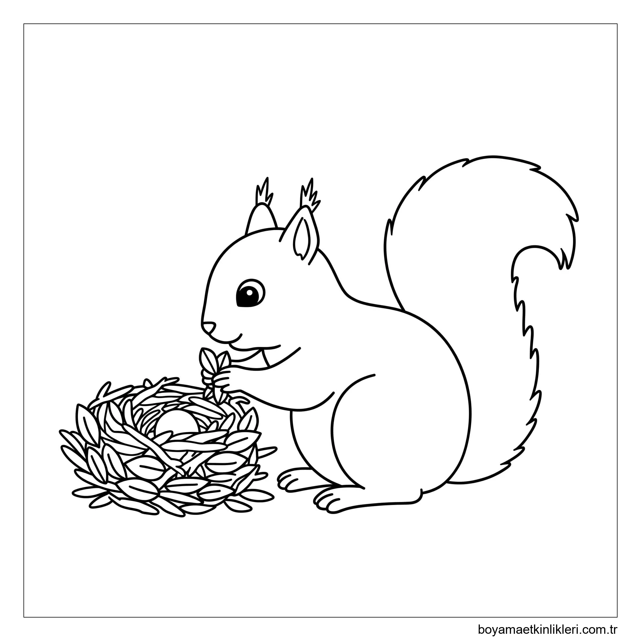 Sincap'ı güzel çiz