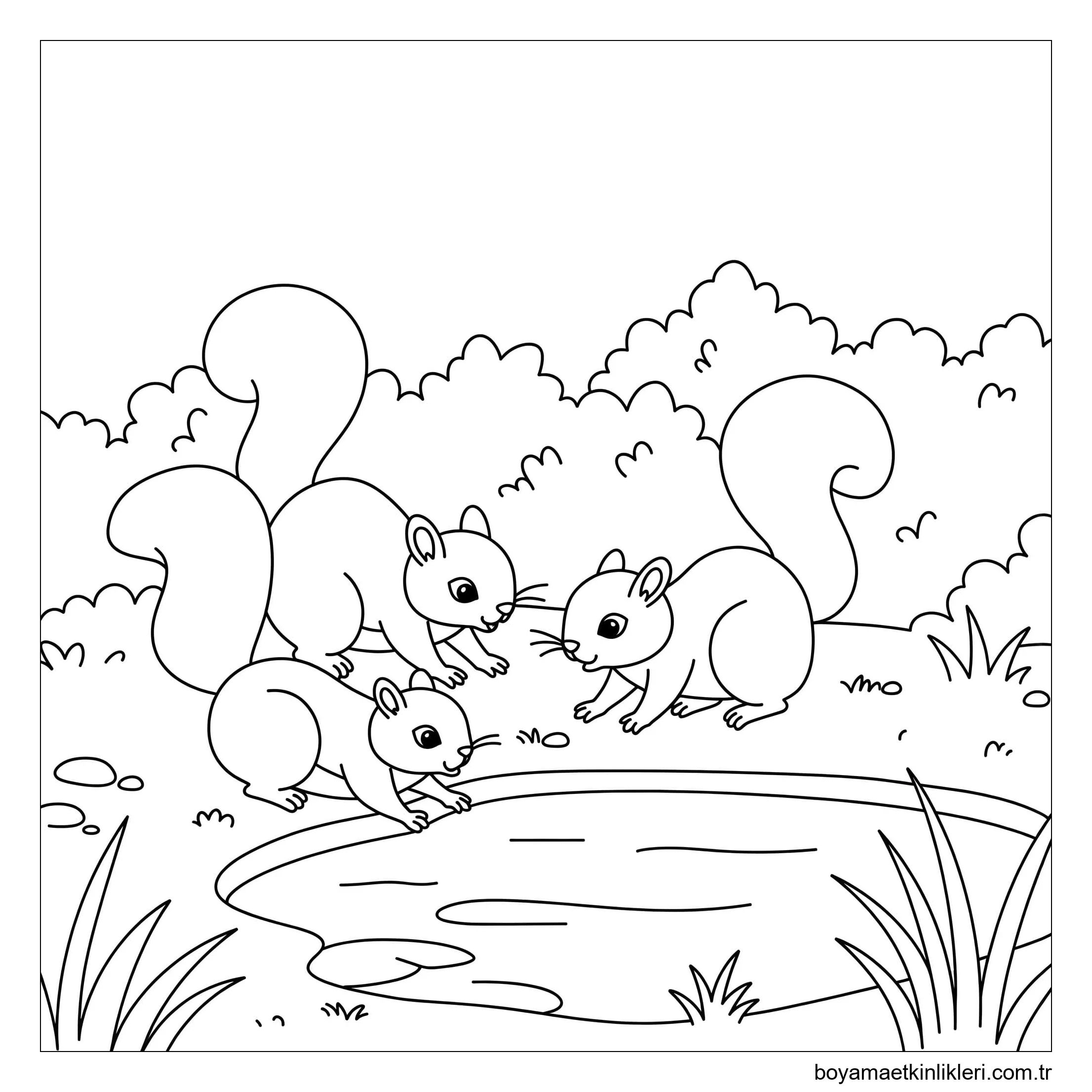 Sincap'ı sevimli çiz