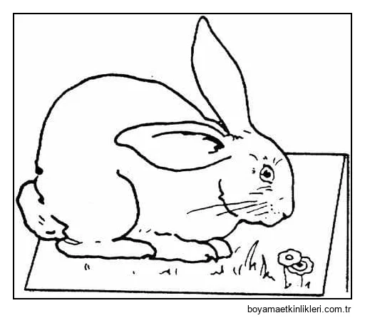 Tavşan Görüntü Taslağını Yazdır