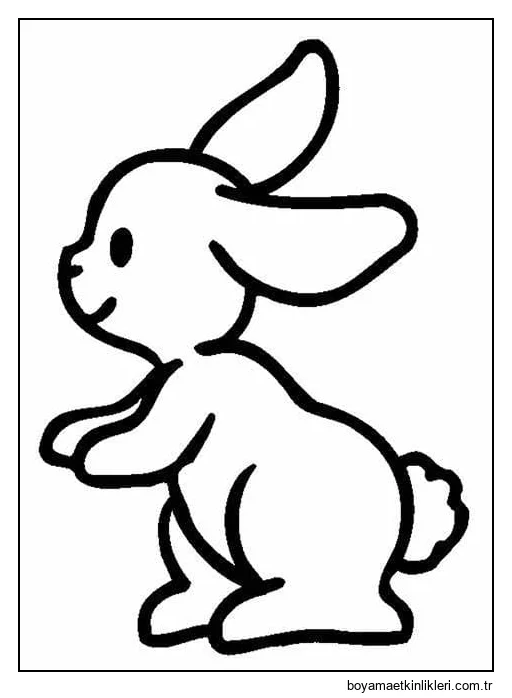 Ücretsiz Tavşan Anahat