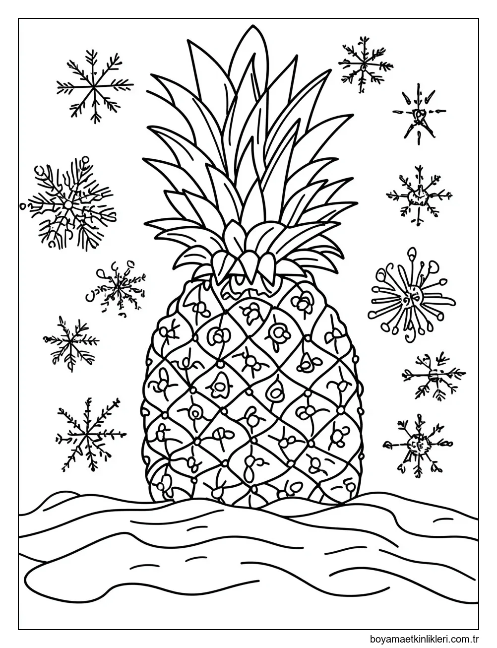 Ananas 2'i çiz