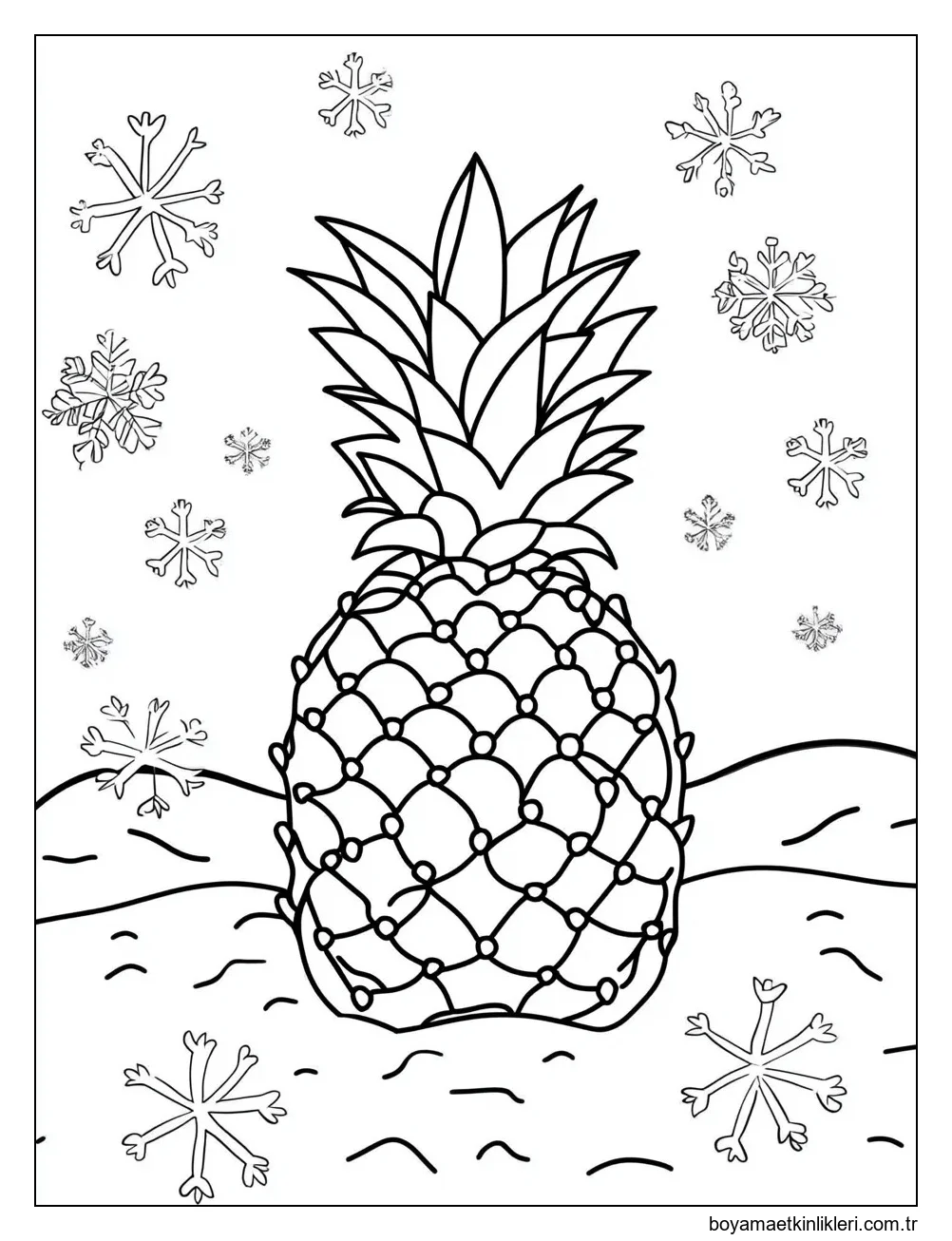 Ananas 5'i çiz