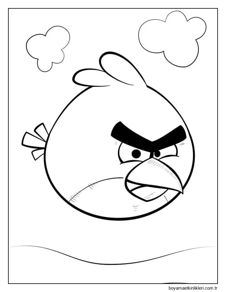 Angry Birds (16)