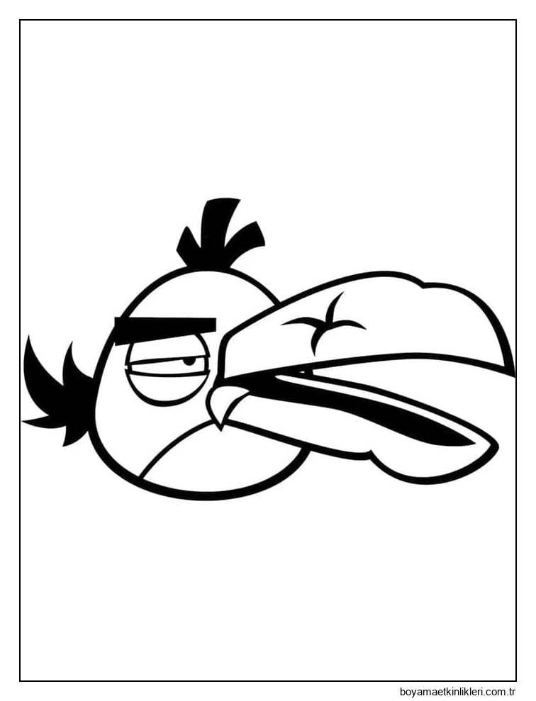 Angry Birds (6)