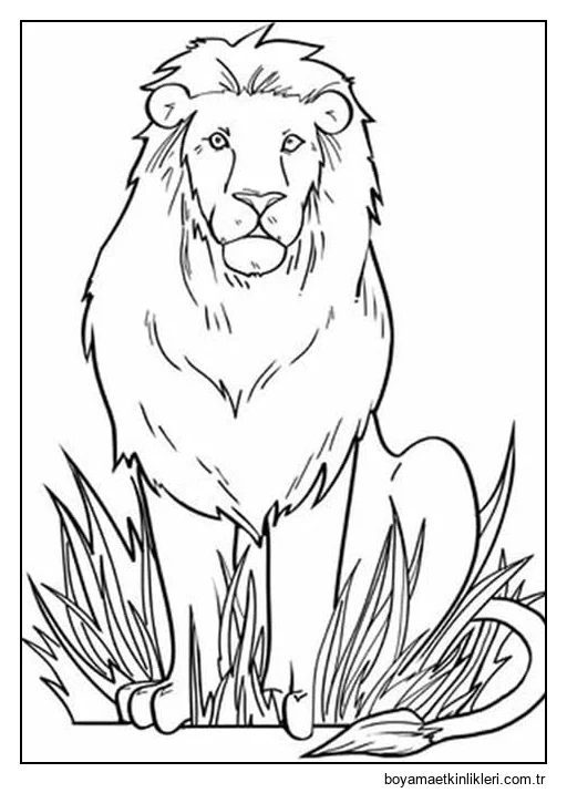 Aslan Ücretsiz Resimler