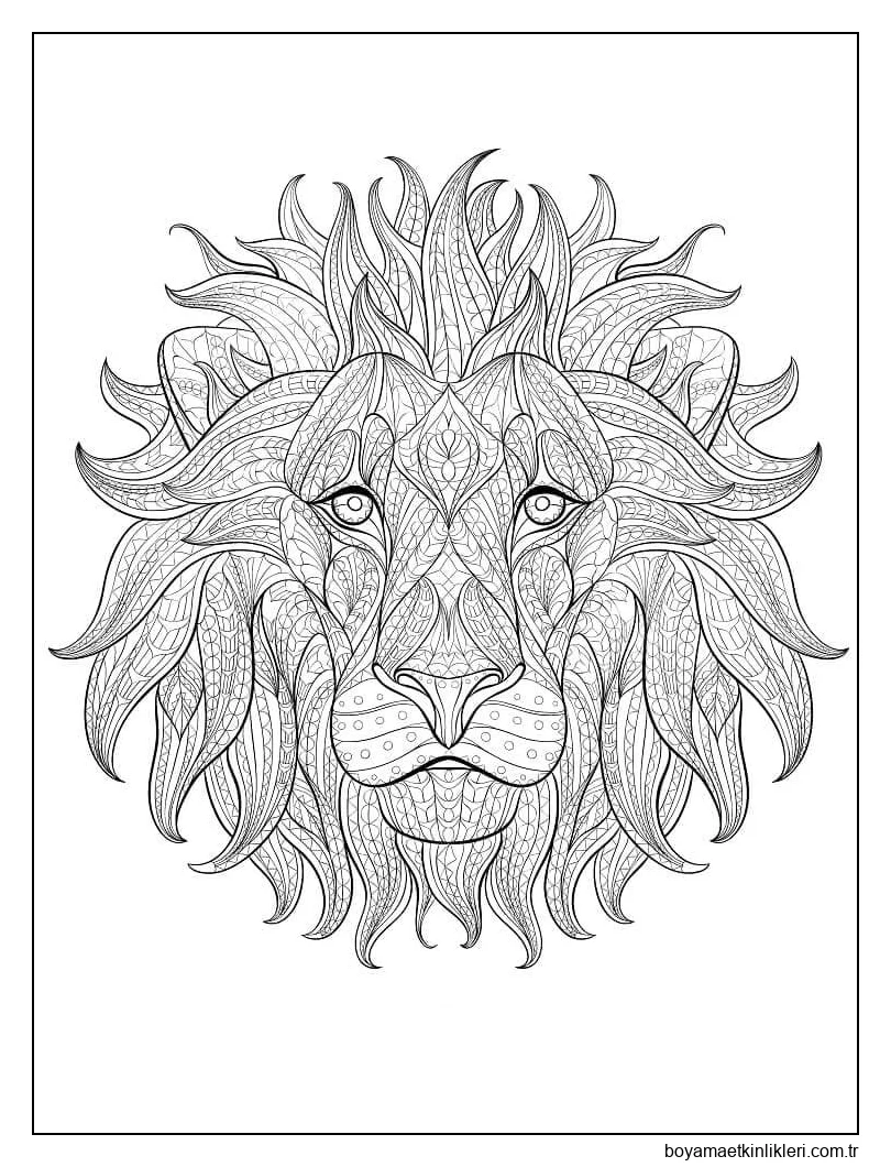 Aslan Yüzü - sayfa 3