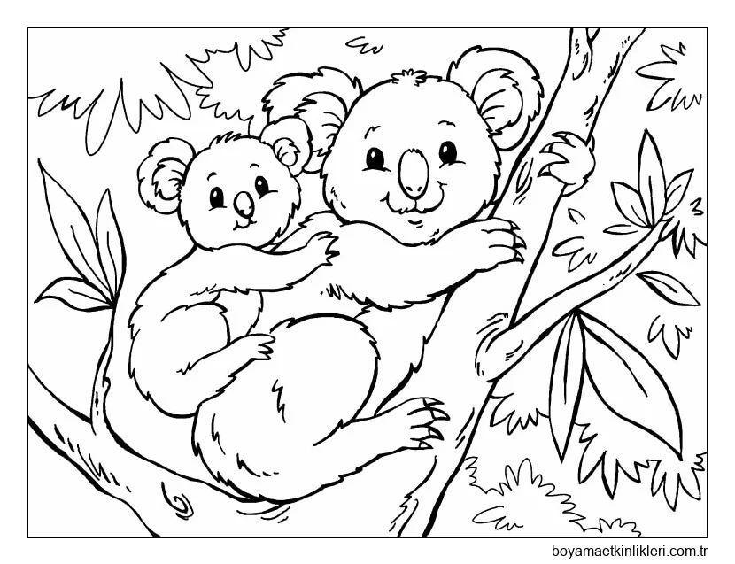 Bebek Koala ile Temel Anne Koala