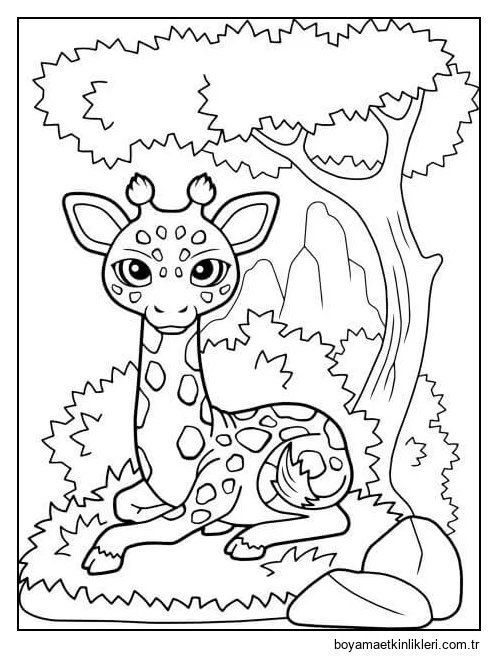 Çim Yığını Üzerinde Oturan Zürafa