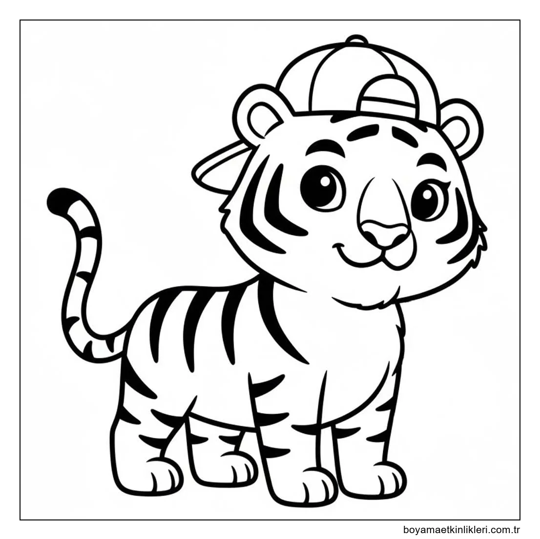 Çizmek Kaplan 4