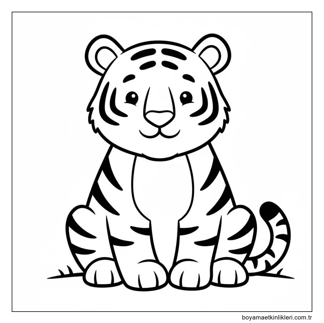 Çizmek Kaplan 5