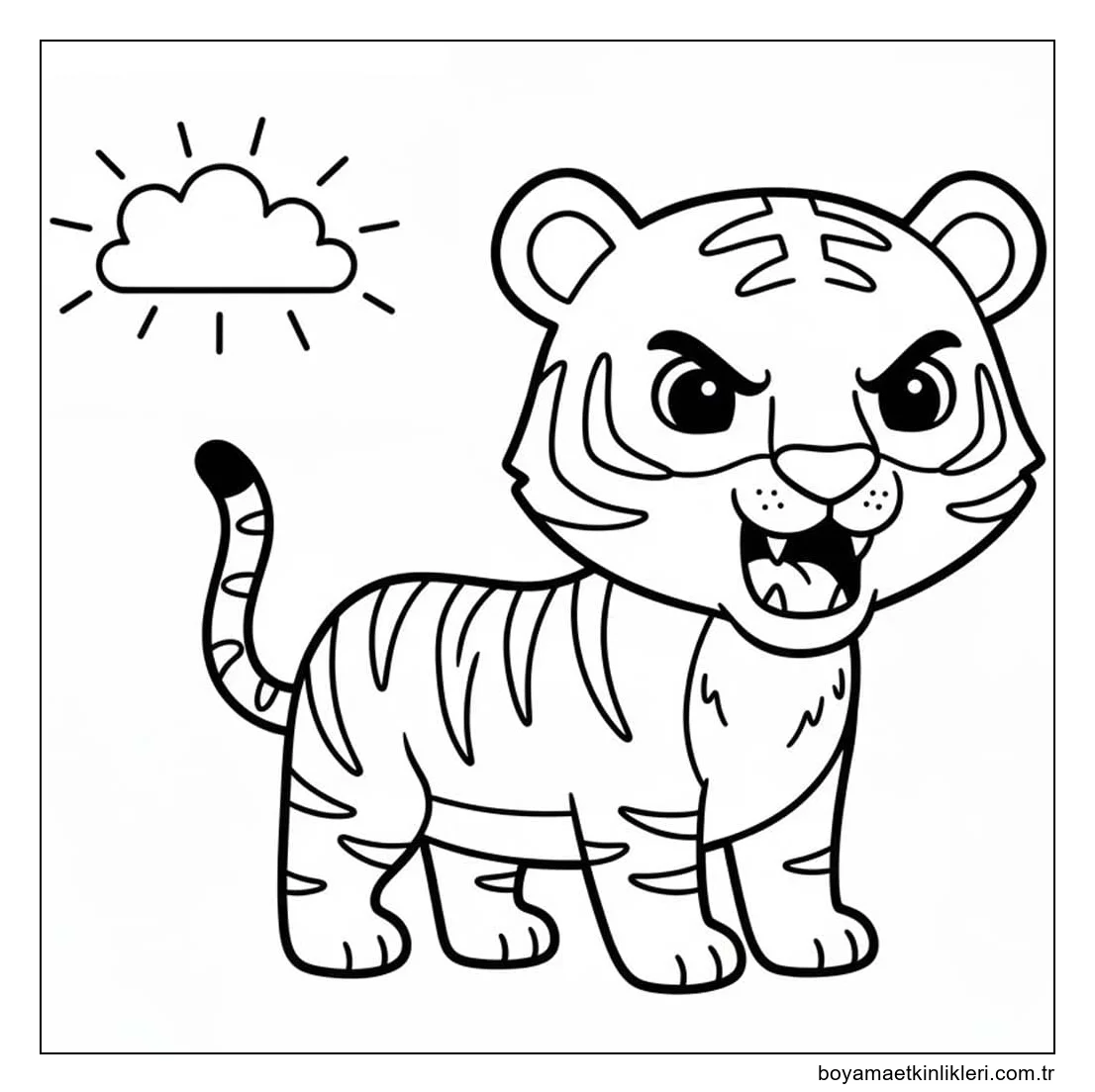 Çizmek Kaplan 6