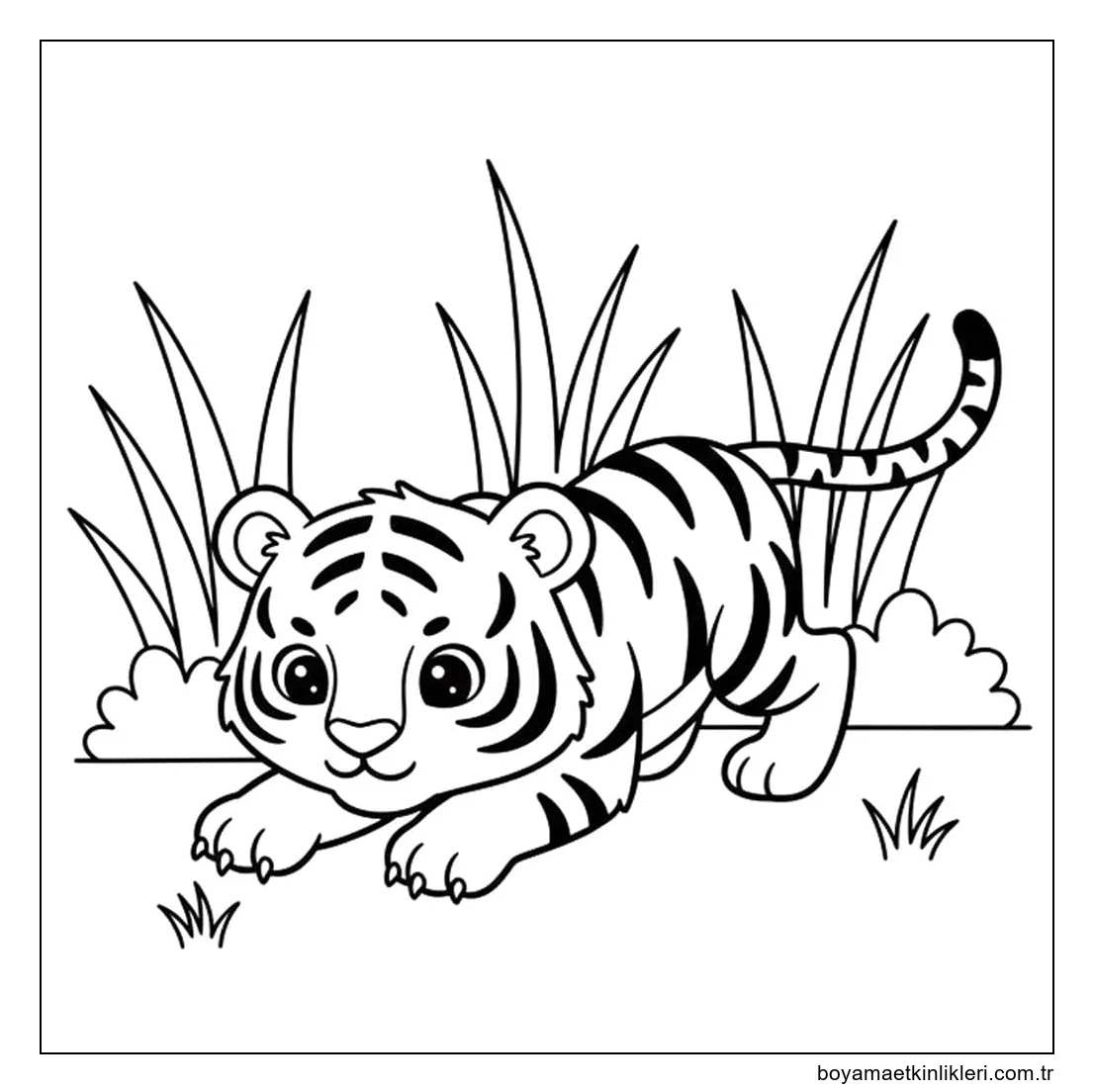 Çizmek Kaplan 7
