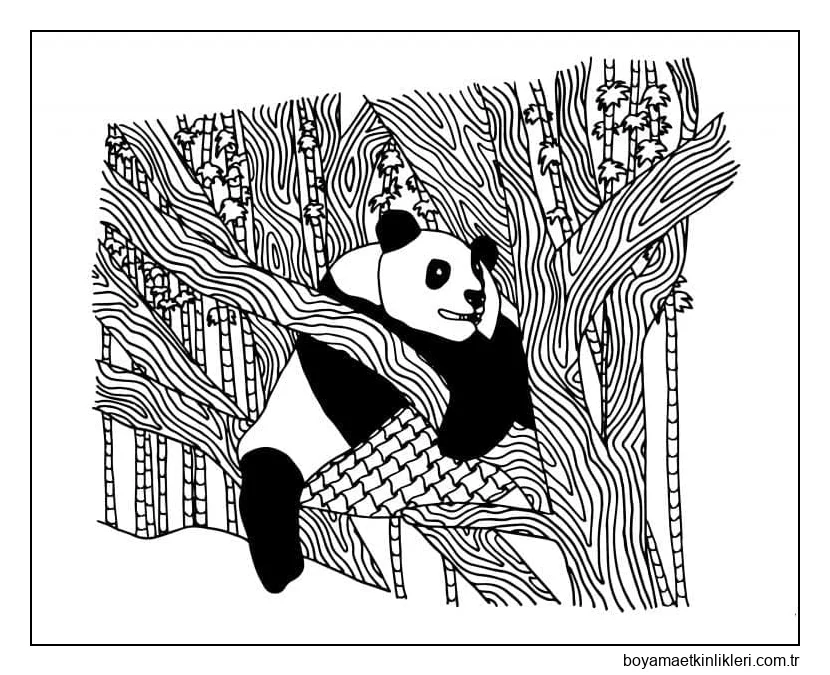 Çocuklarda Panda çizimi