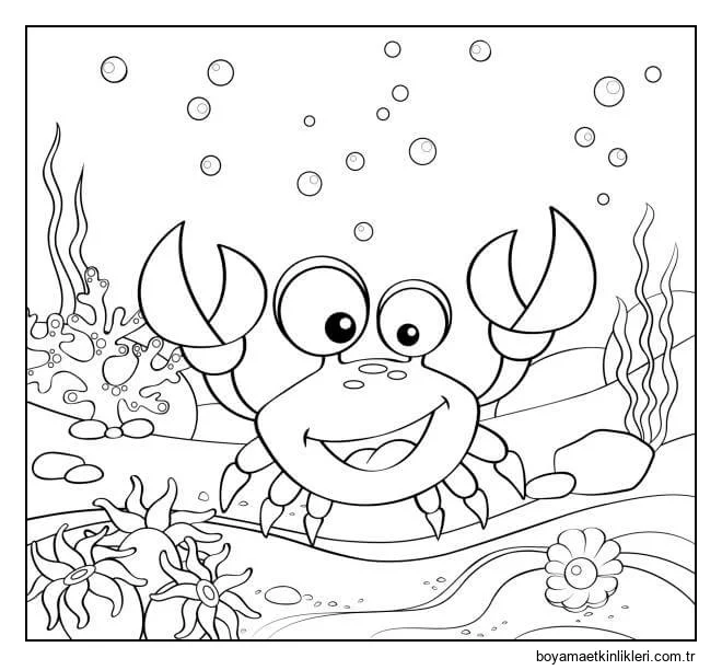 Denizde Eğlenceli Yengeç