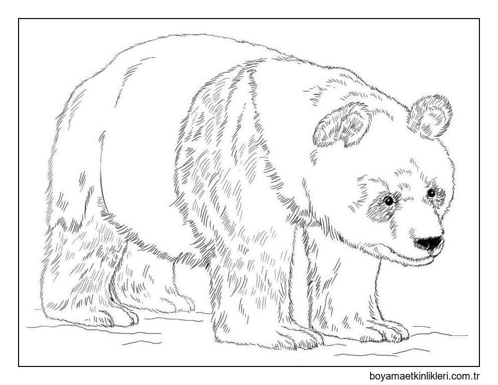 Dev Panda Yürüyüşü