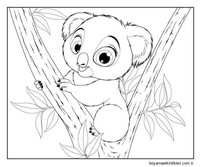 Eğlenceli Koala