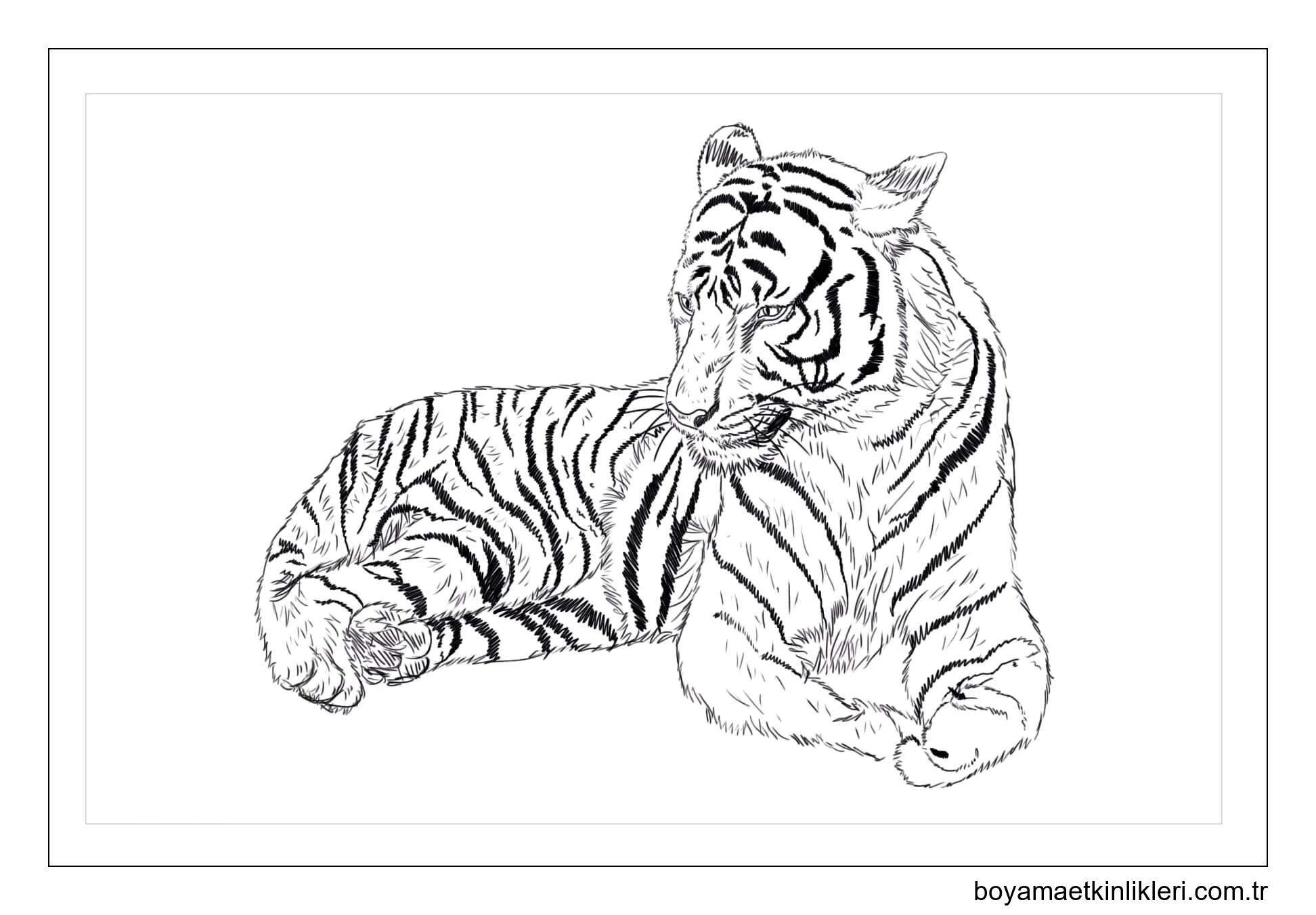 Güney Çin Kaplanı