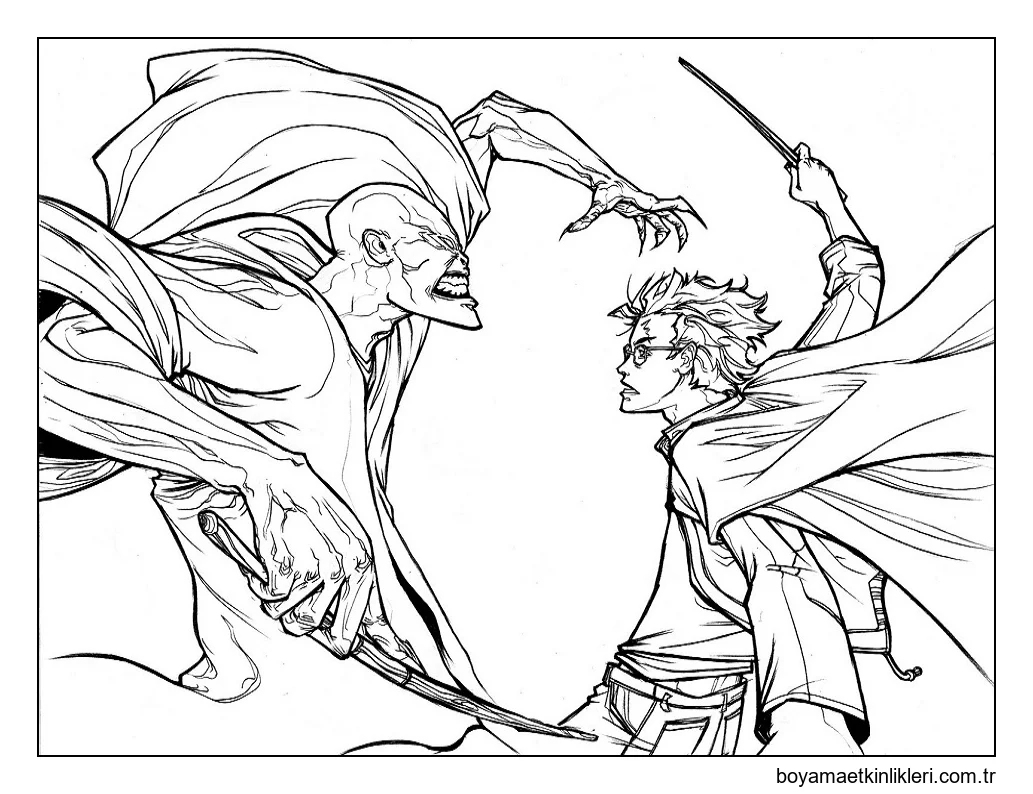 Harry Potter, Voldemort'a Karşı