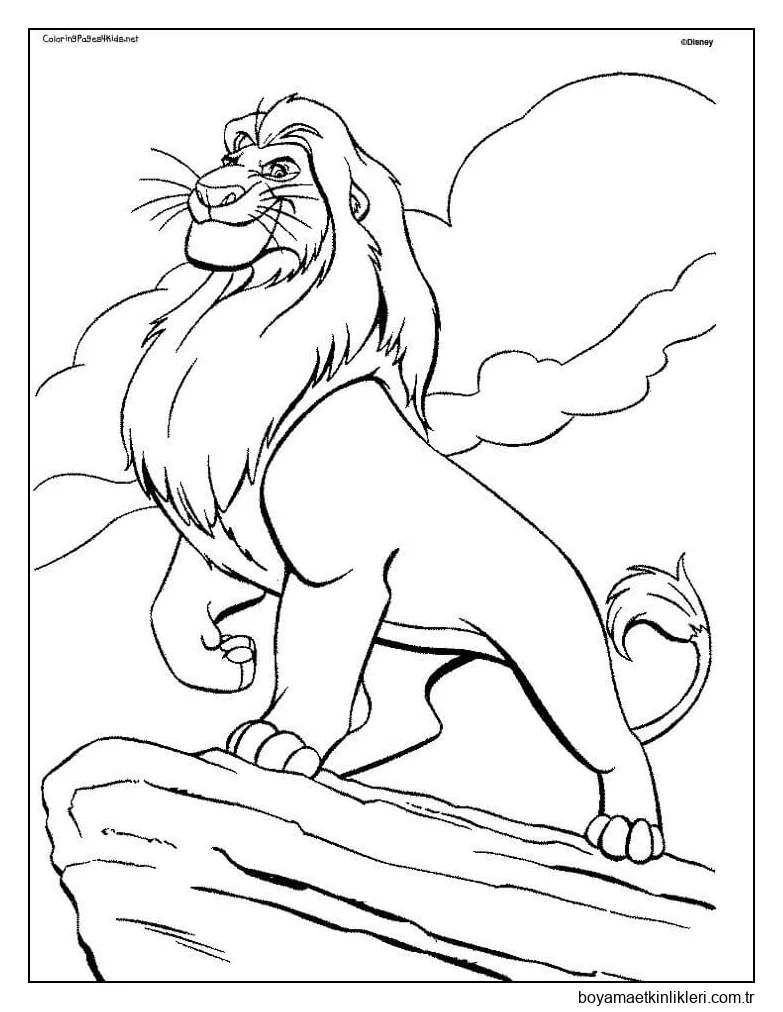 Kayanın Üzerinde Aslan