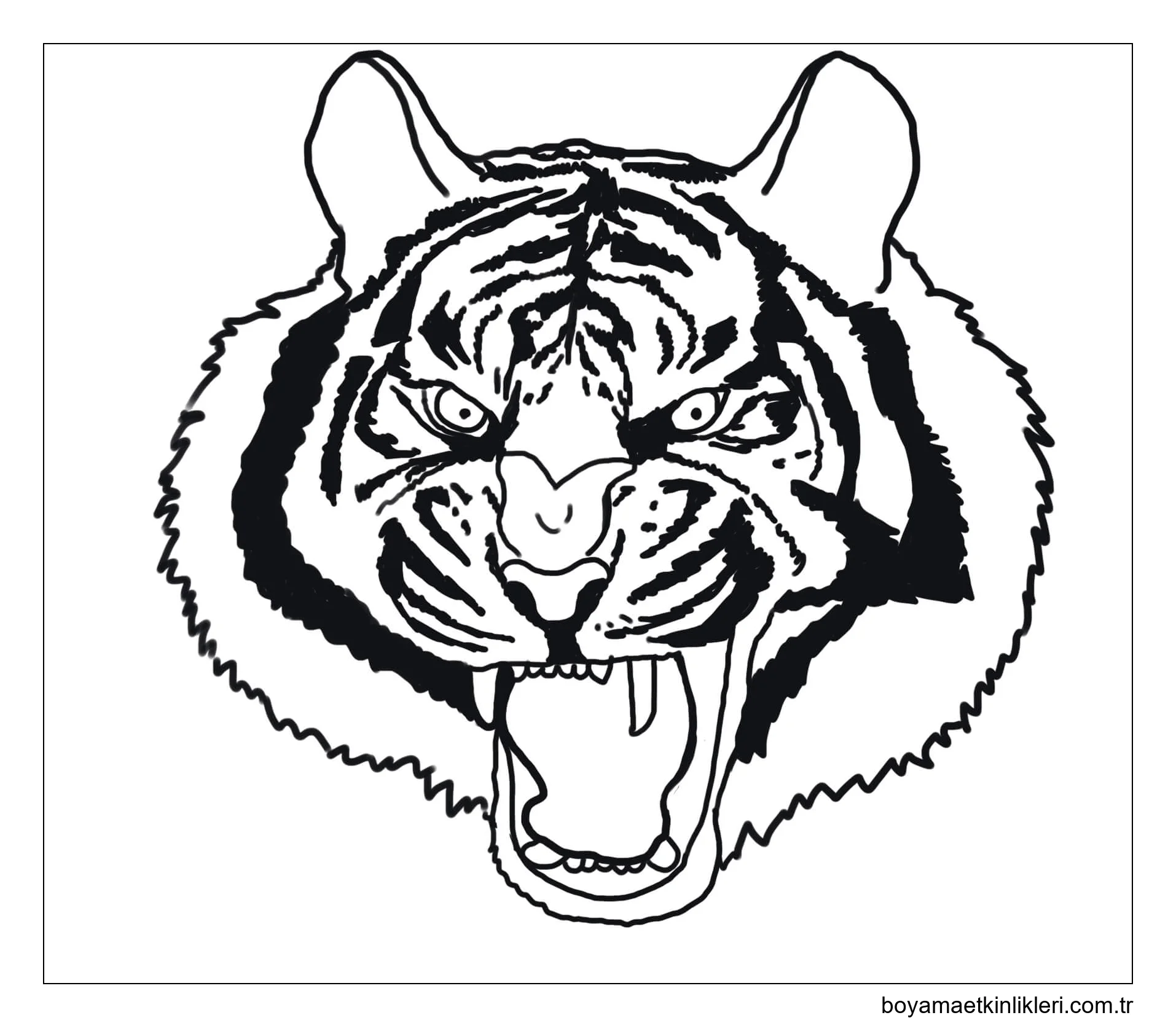 Korkunç Kaplan Kafası