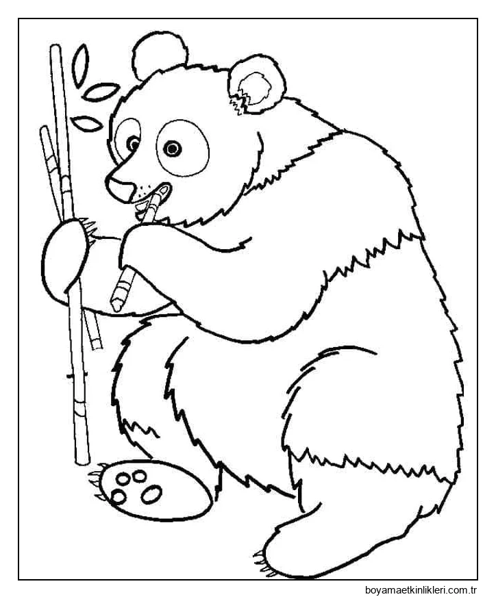 Panda'yı basit çiz