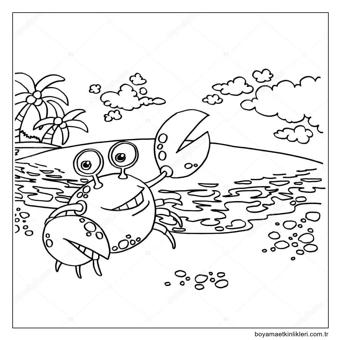 Sahilde Eğlenceli Yengeç