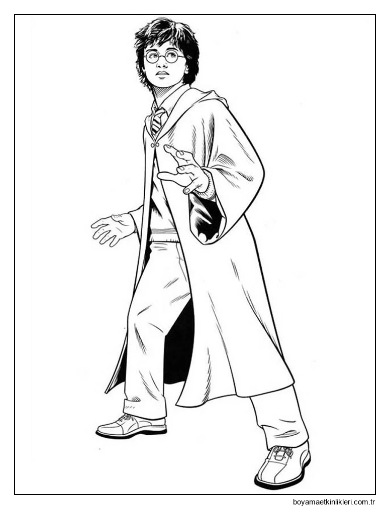 Şaşırmış Harry Potter