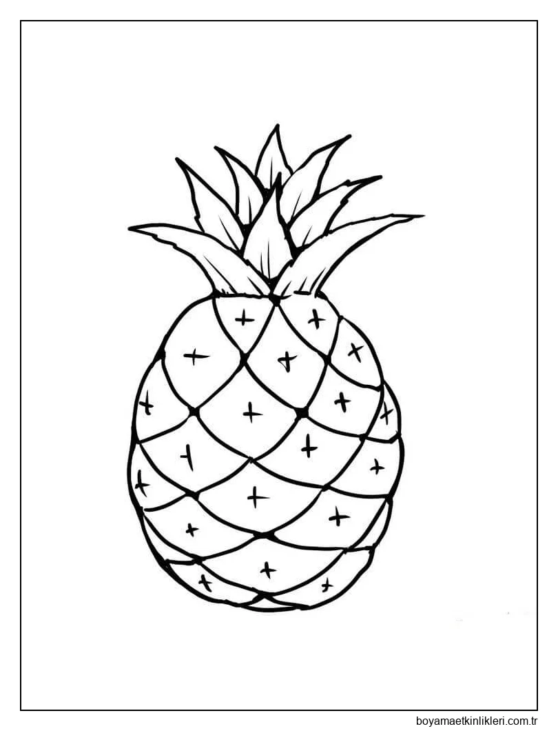 Temel Ananas