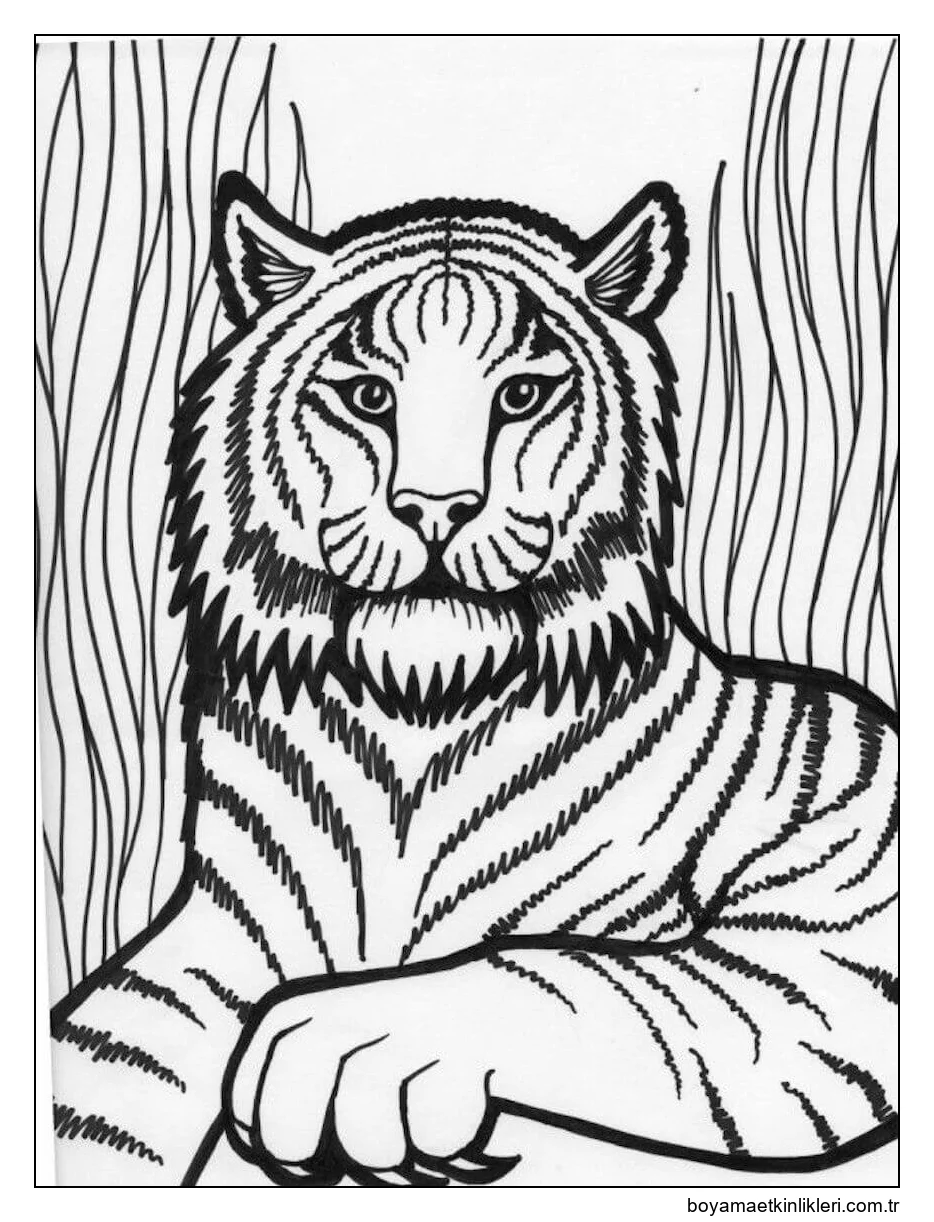 Yazdırılabilir Kaplan