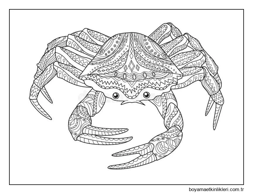 Yengeç Yetişkinler Içindir