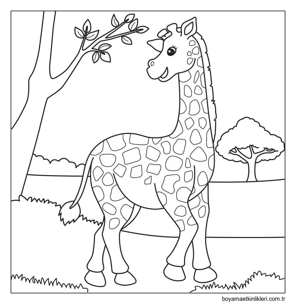 Zürafa Bedava Resimler