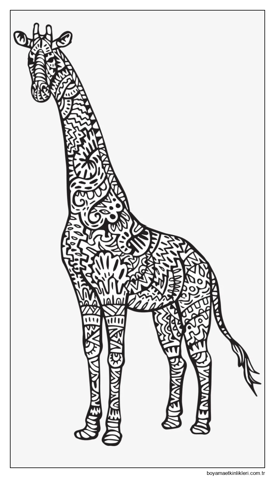 Zürafa Yetişkin Içindir