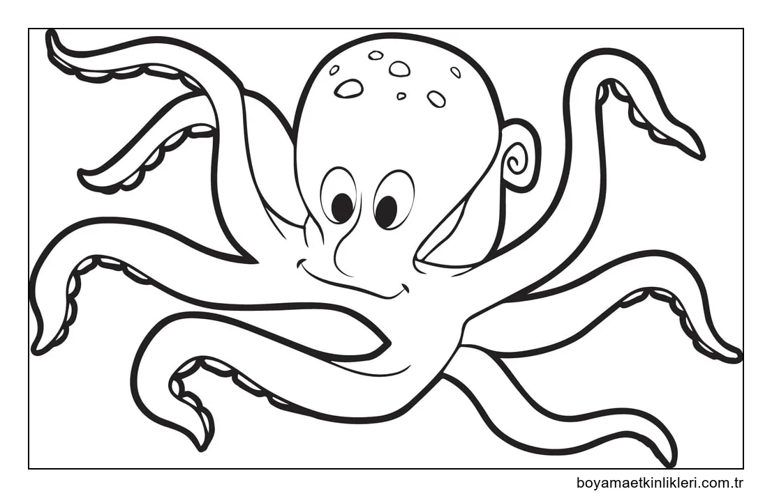 Ahtapot Bedava Resimler