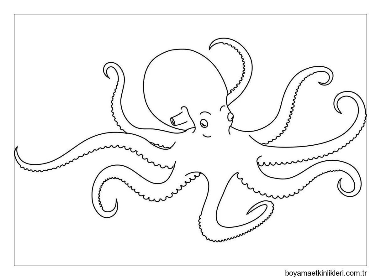 Ahtapot çocuklar için ücretsiz