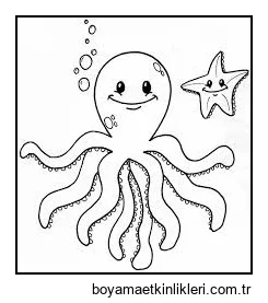 Ahtapot ve Denizyıldızı