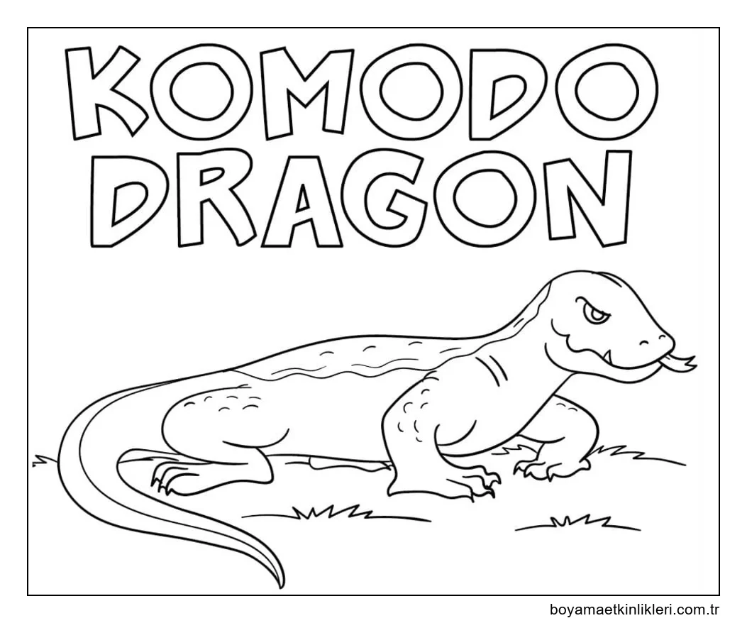 Basit Komodo Ejderi resim